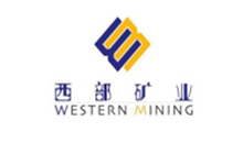 Bomba Química Sul Co. de Anhui, Ltd.